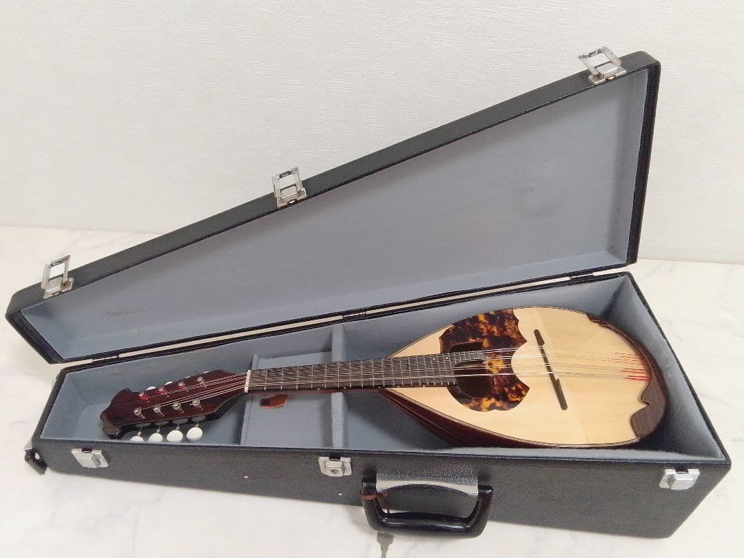 マンドリン 渡辺精次 No.70 Anno1995 Watanabe ケース付