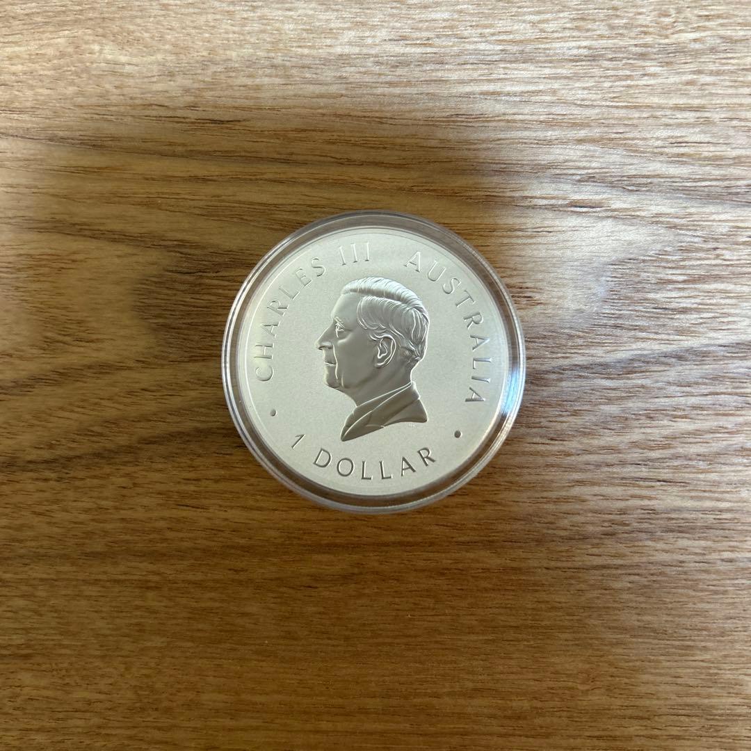 銀　2025 コアラ