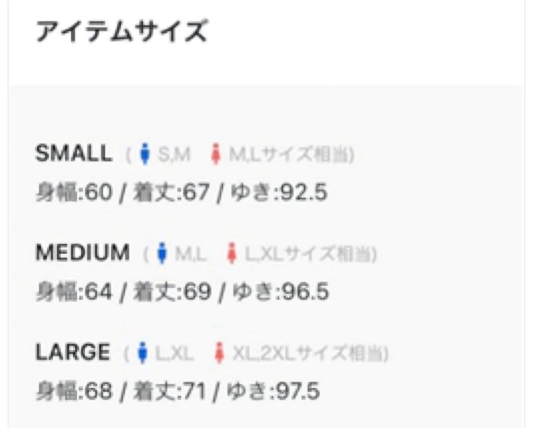 【希少品】LIBERE リベーレ パーカー THE FIRST BE:FIRST