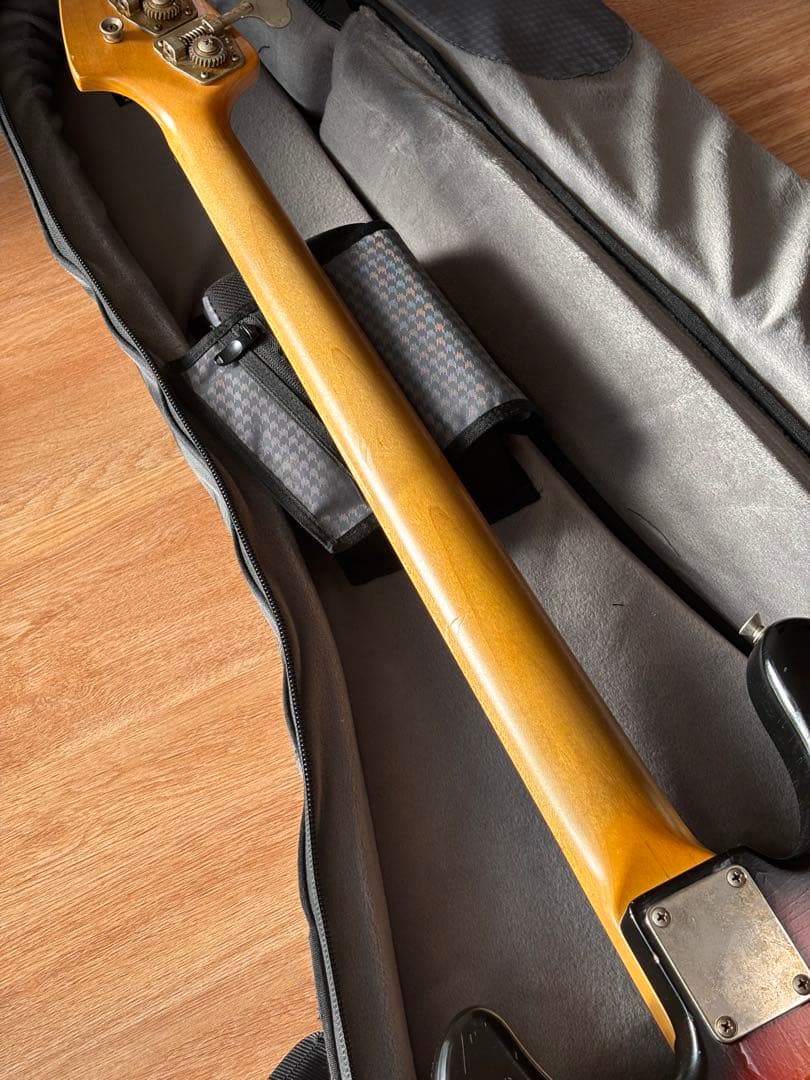 ベース g7 Special g7-JB/Rosewood Perfect Aged