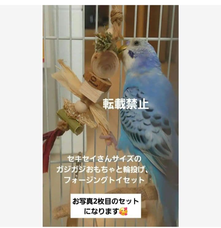 T6　自然素材　インコ　 ガジガジおもちゃ　バードトイセット　フォージングトイ