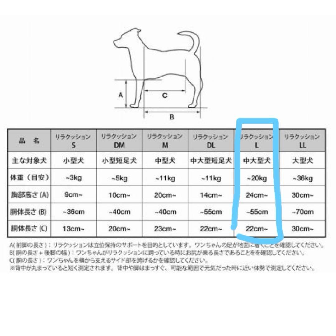 美品★リラクッション Lサイズ ブルー