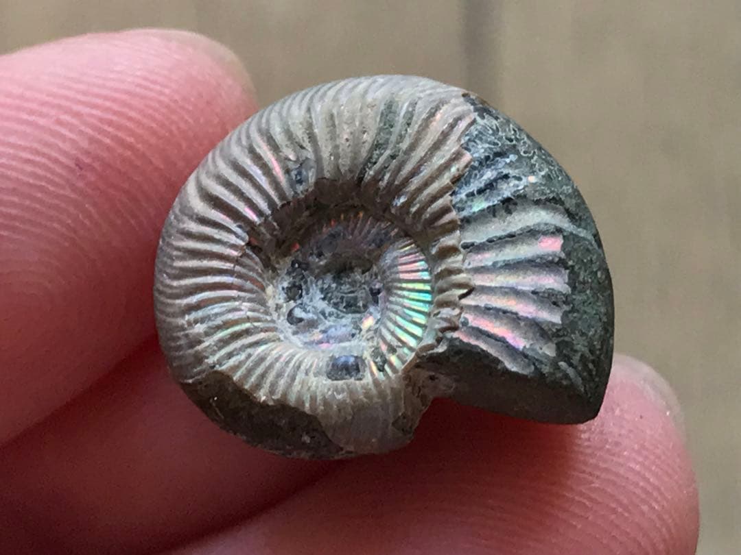 taro様 リクエスト 7点 まとめ商品