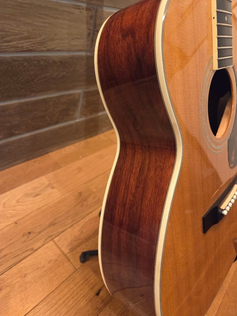 Morris モーリス アコースティックギター