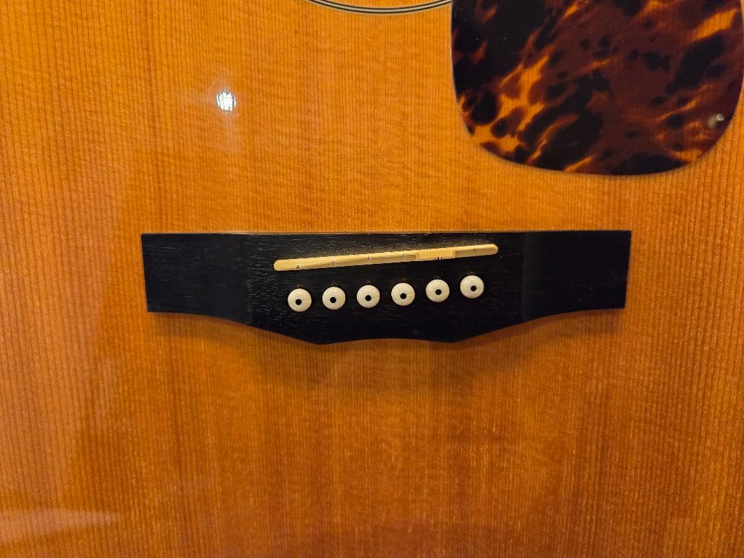 Morris モーリス アコースティックギター