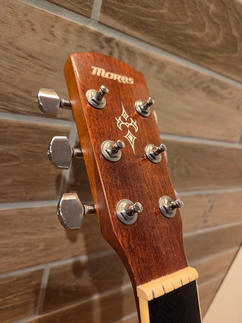 Morris モーリス アコースティックギター