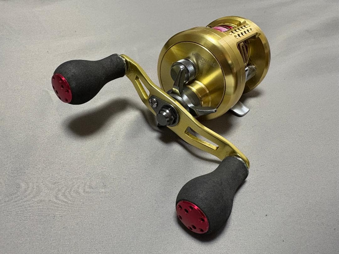 ダイワ ミリオネア100