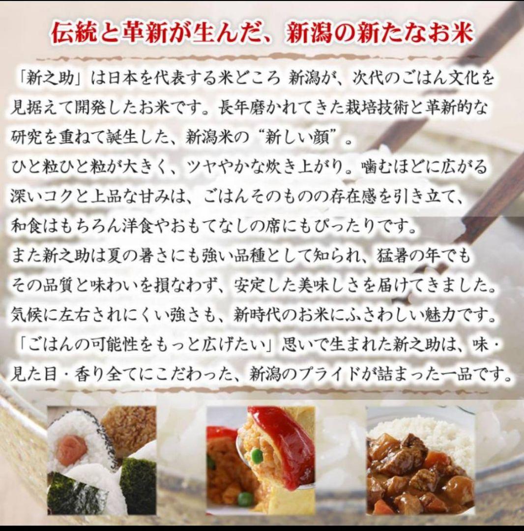 新之助米 5kg 2袋セット