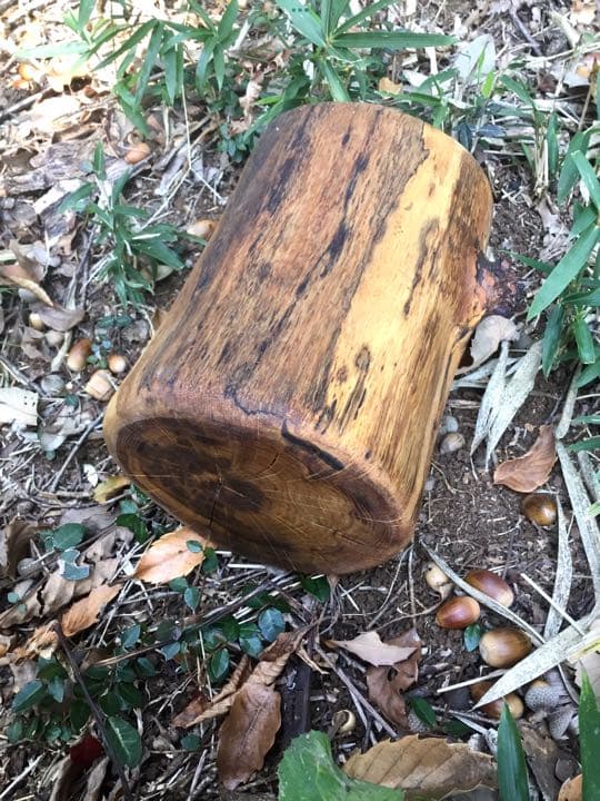 10/24に伐採した楢で作成【薪割り台/椅子/枕】水中乾燥/オイルフィニッシュ済