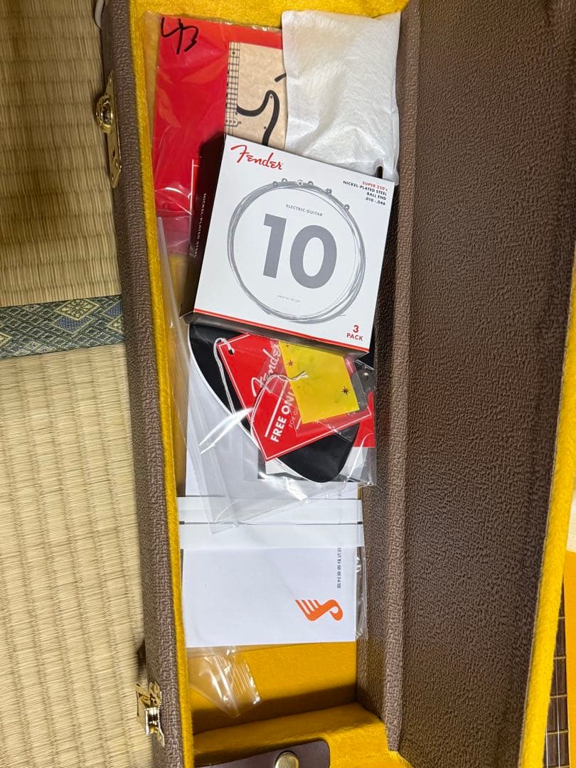 Fender マイク・マクレディStratocaster