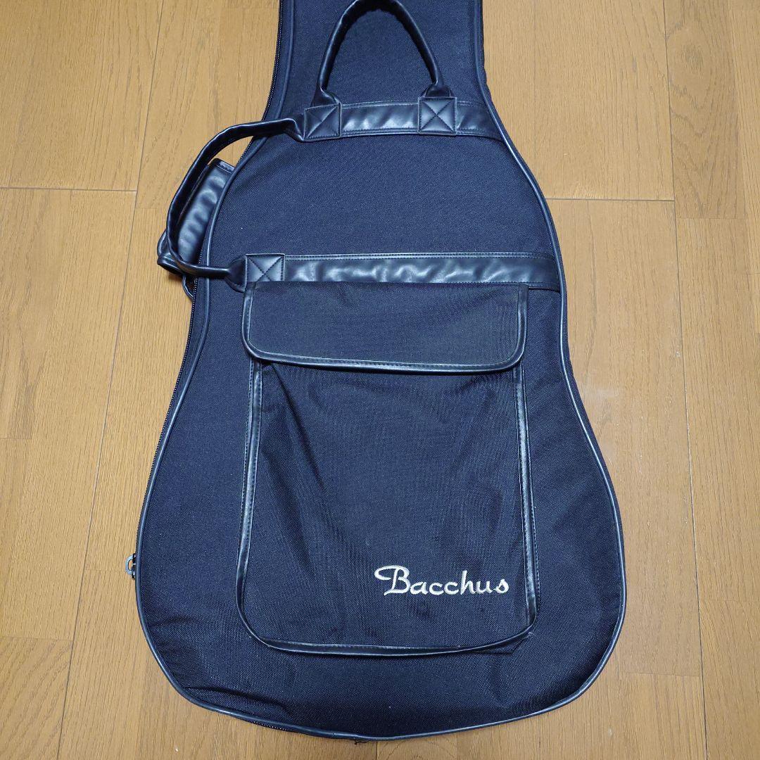 Bacchus twenty alder Custom4　バッカスベース