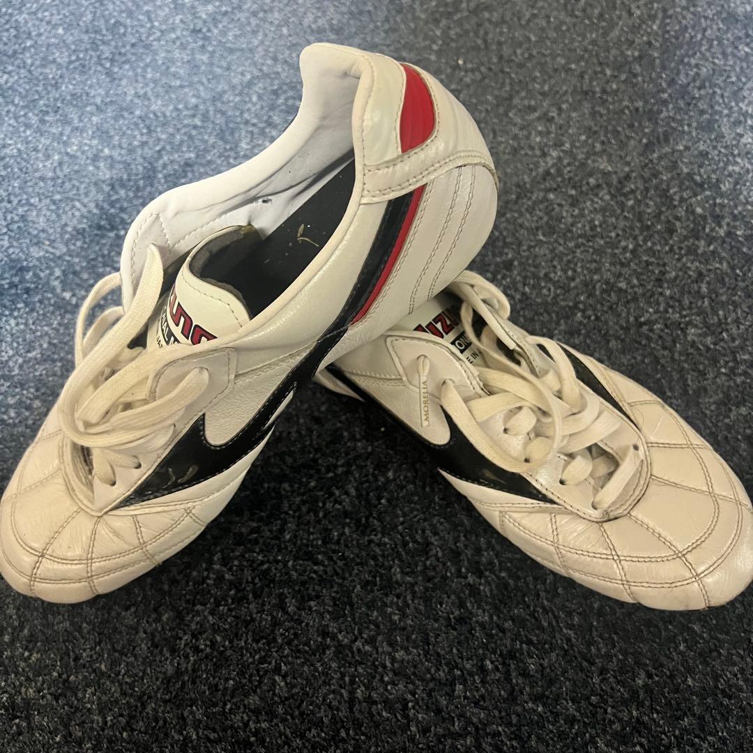 モレリア2JAPAN クロスステッチ　MIX （取り替え式）