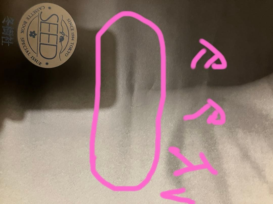 細野晴臣　ポスター