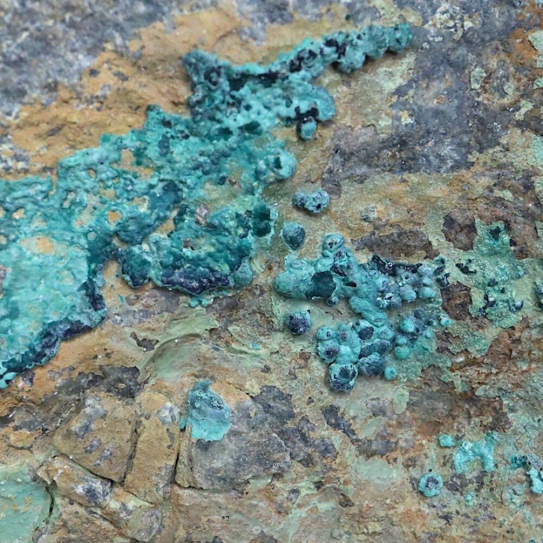 クリソコラ & シュードマラカイト 珪孔雀石 擬孔雀石218.7g CHS167