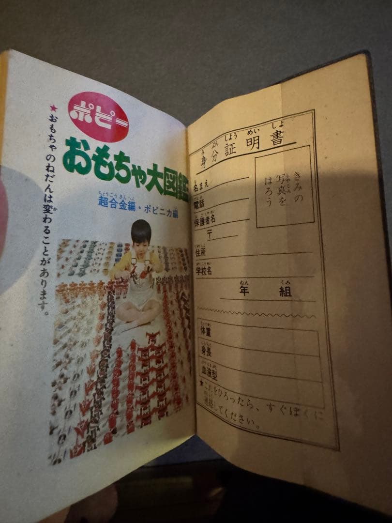 おもちゃ大図鑑