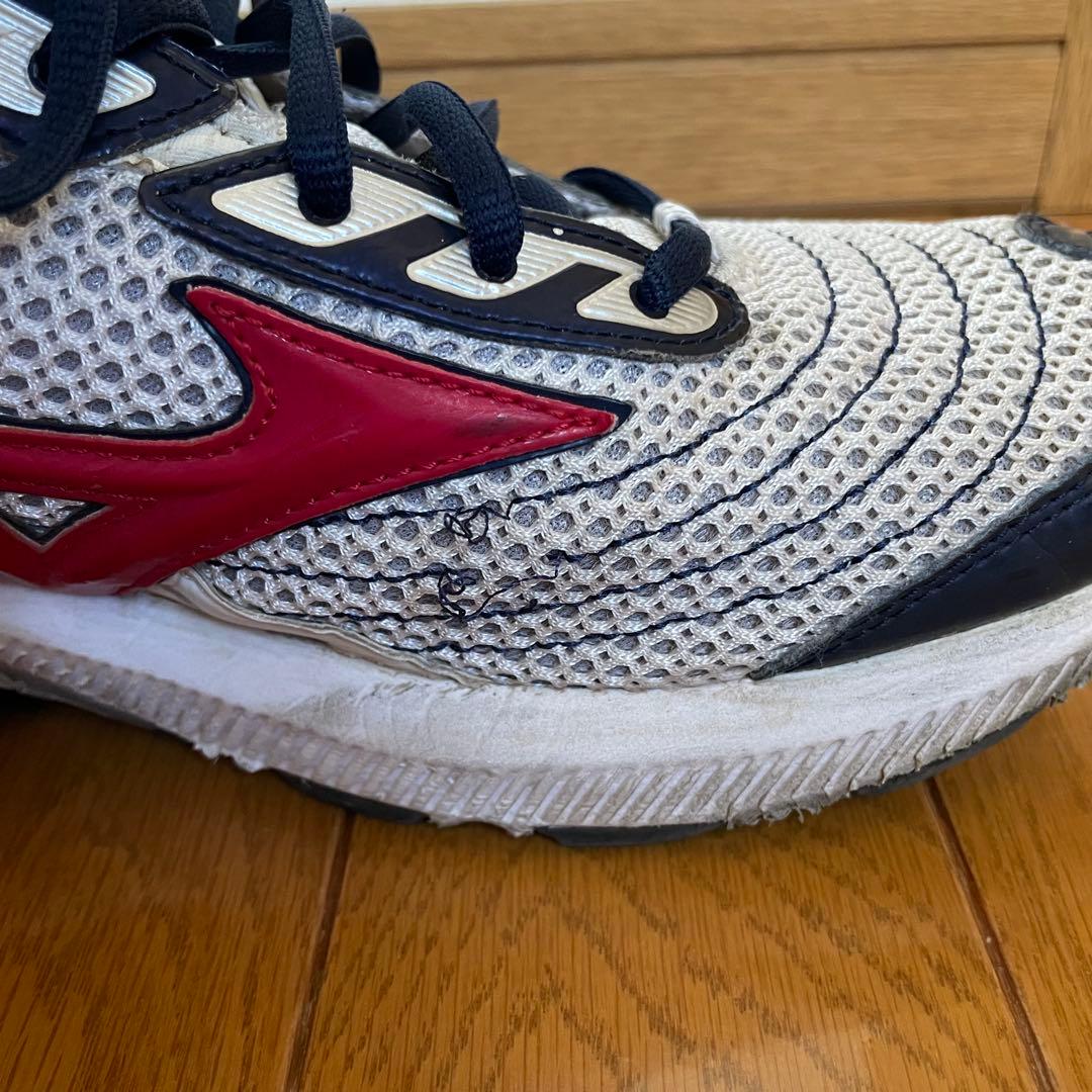 Mizuno pro 限定シューズ ミズノプロ28.0