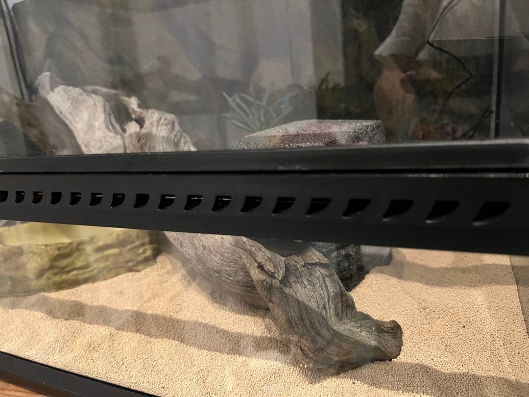 爬虫類ケージ　ＧＥＸ　エキゾテラ　グラステラリウム　９０４５　引渡し優先　愛知県