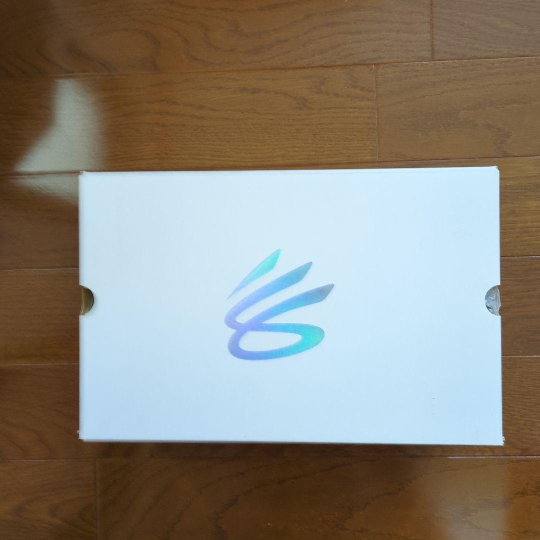 シューズ(男性用) CURRY 9