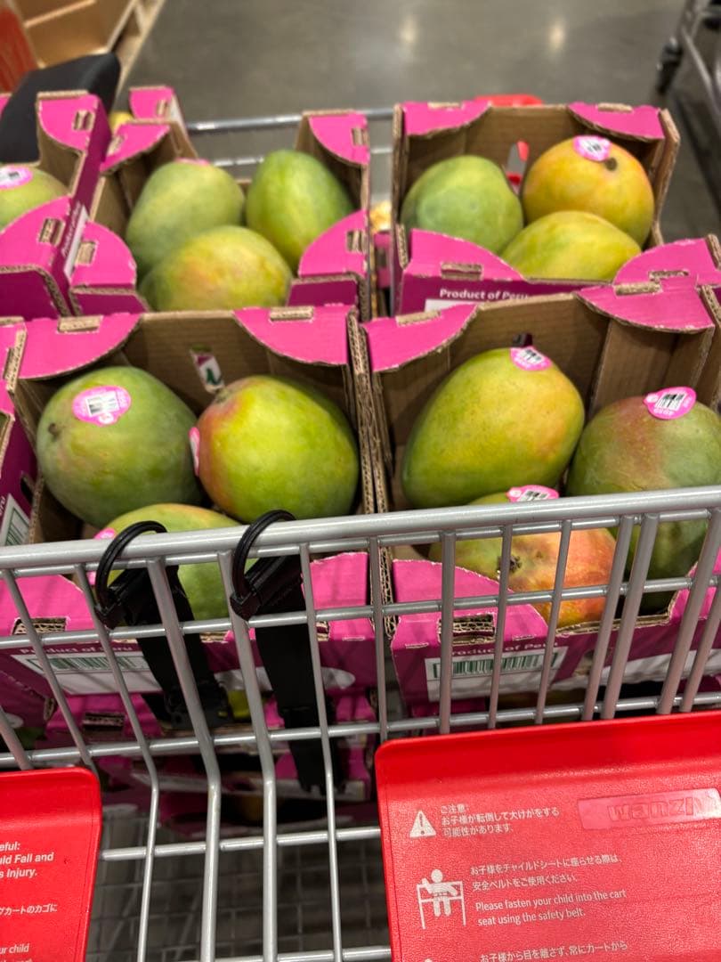 蝶々華　コストコマンゴー　4箱 (12個)