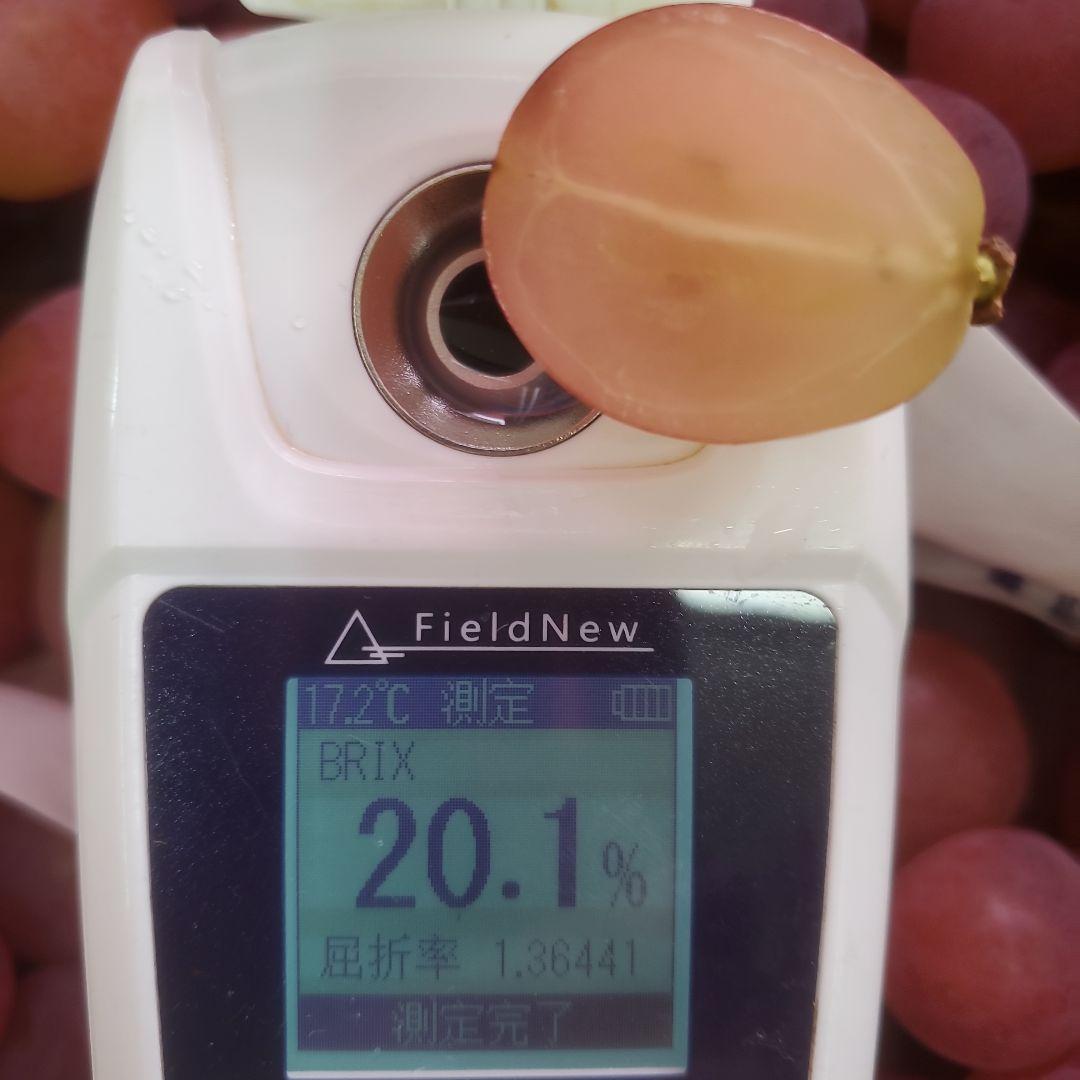 1⃣1⃣ 山梨県産 サンシャインレッド １２房入り 箱込み5.7キロ