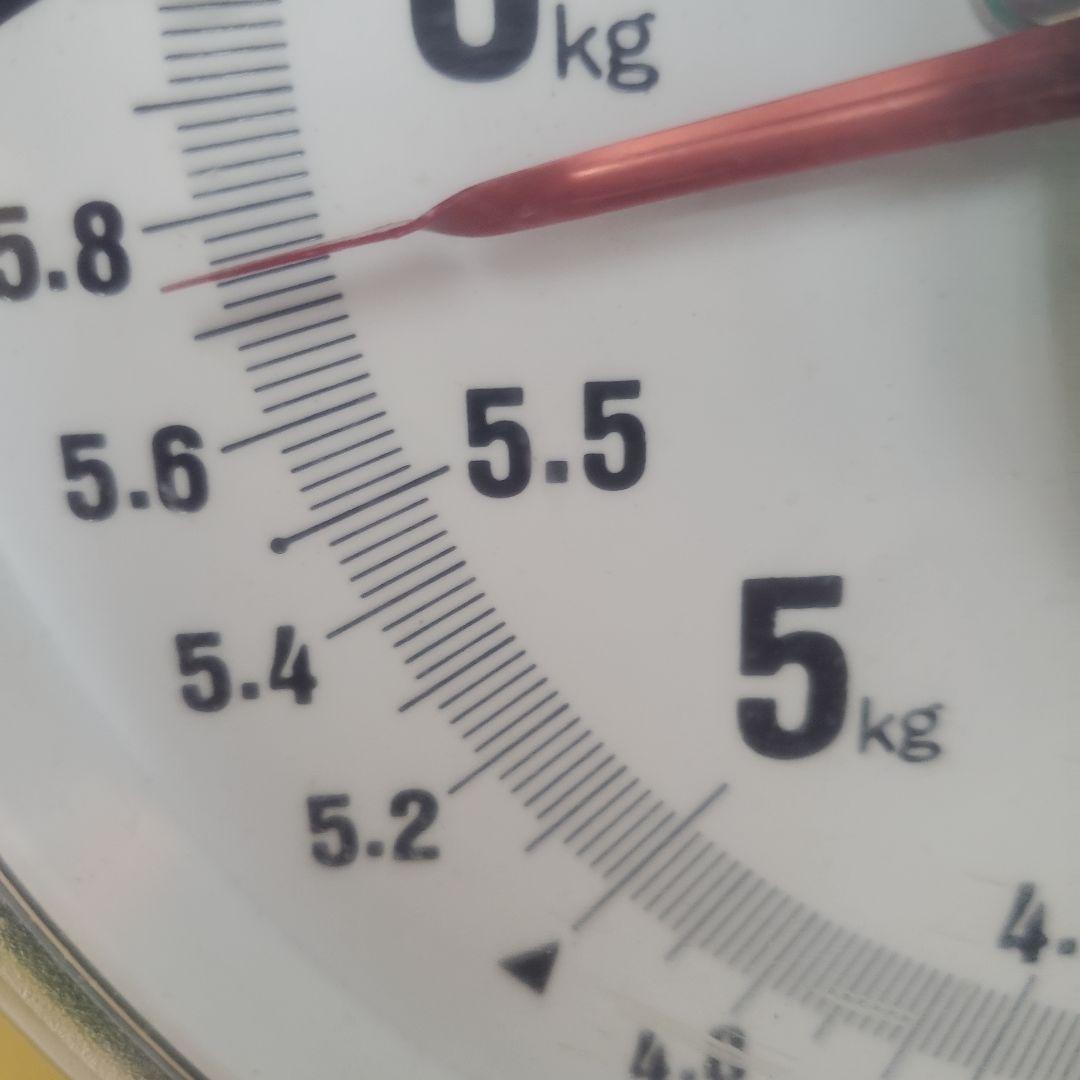 1⃣1⃣ 山梨県産 サンシャインレッド １２房入り 箱込み5.7キロ