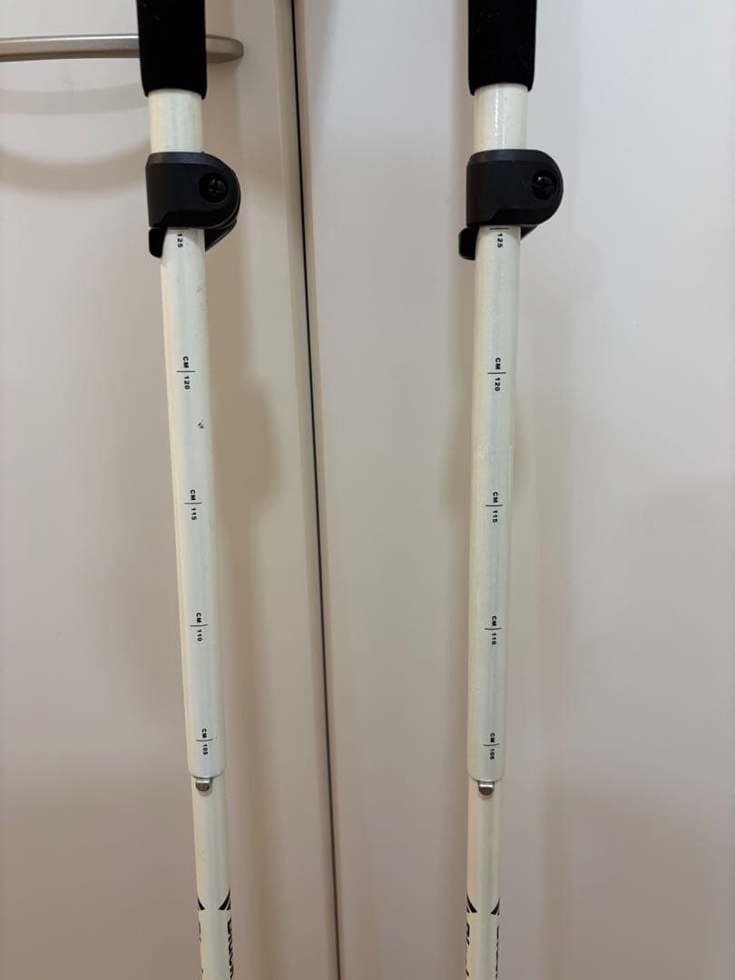  ALPINE FLZ ストック 125-105 cm