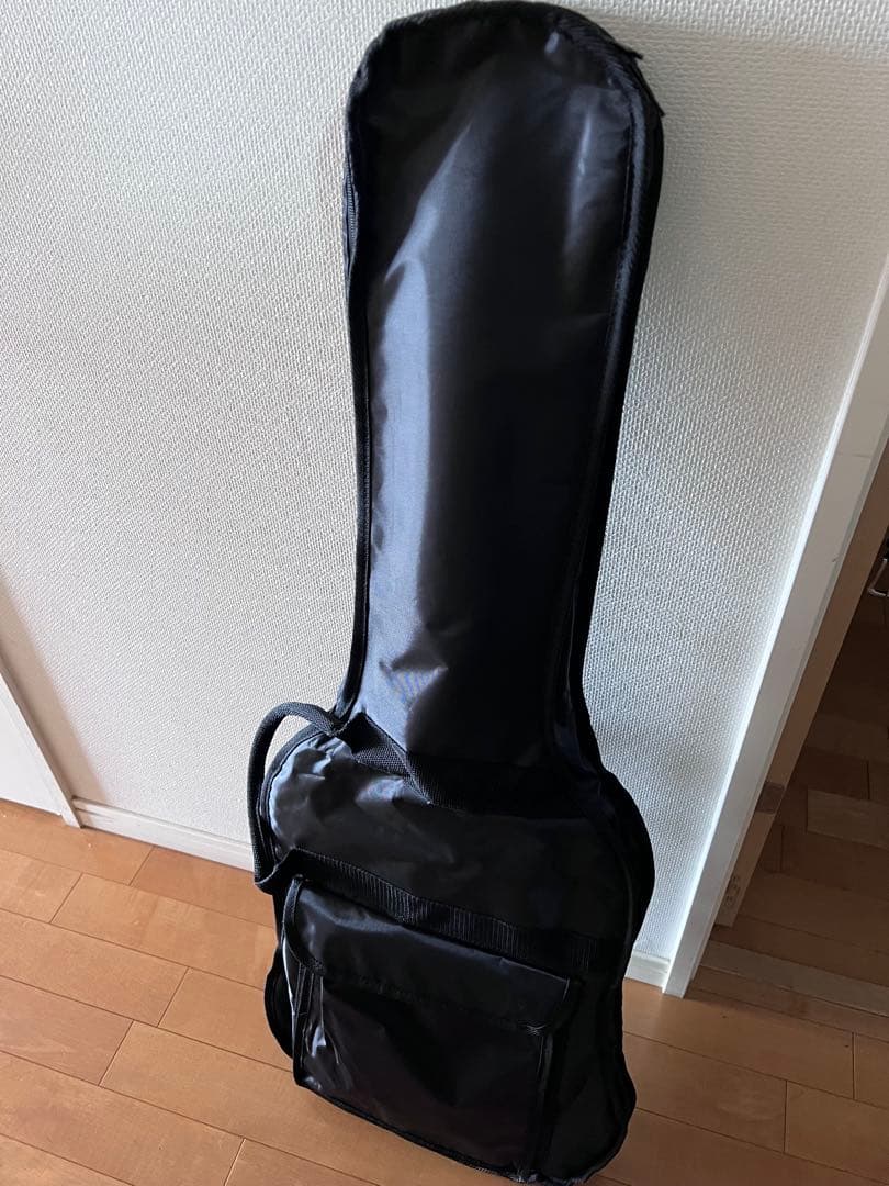 Godin Session HT ストラトタイプ　白　ギター