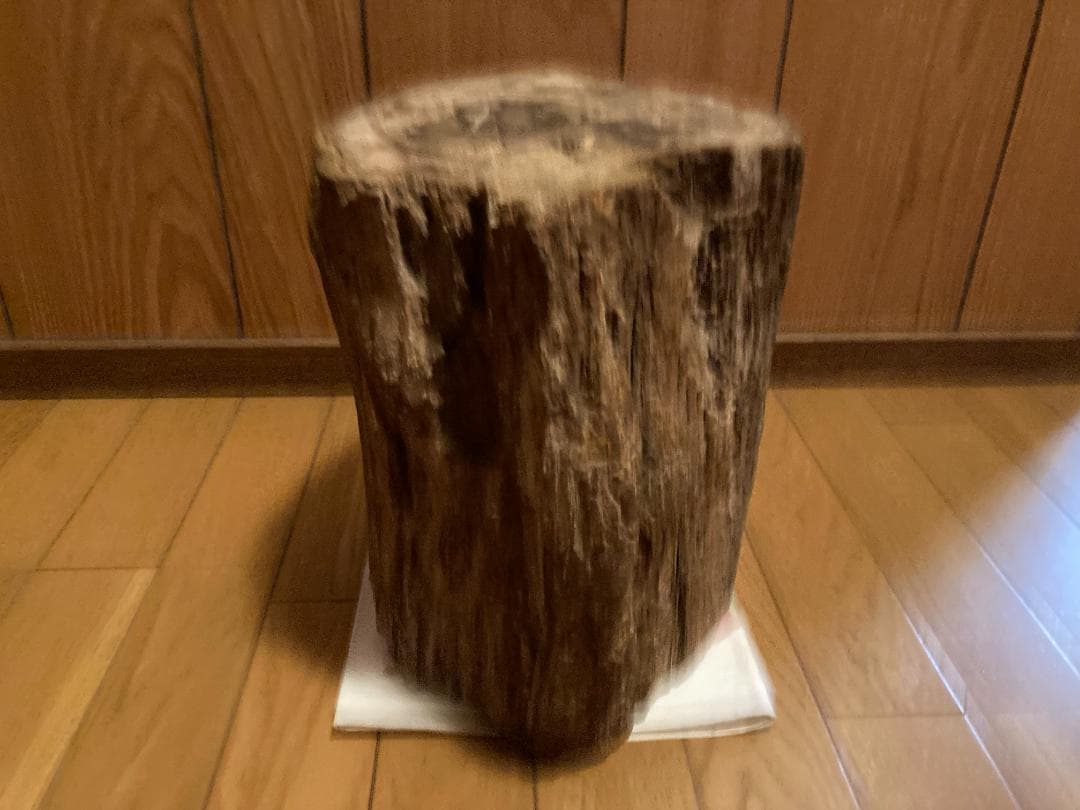 木化石　ブラジル産　30Kg弱くらい　珪化木 受け渡しも可能です