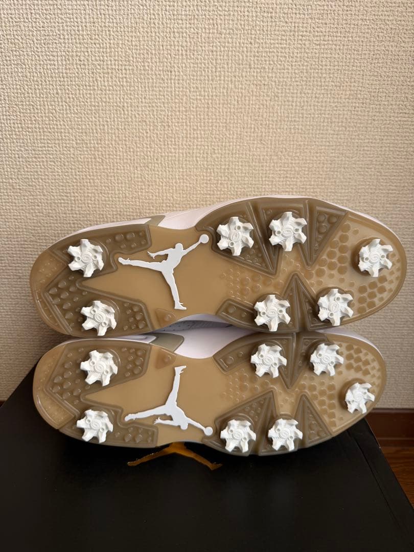 【新品：28.5cm】Nike Air Jordan 6 Low G