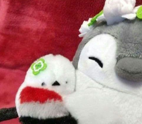 コウペンちゃん 邪エナガちゃん だいすき！な だっこぬいぐるみ