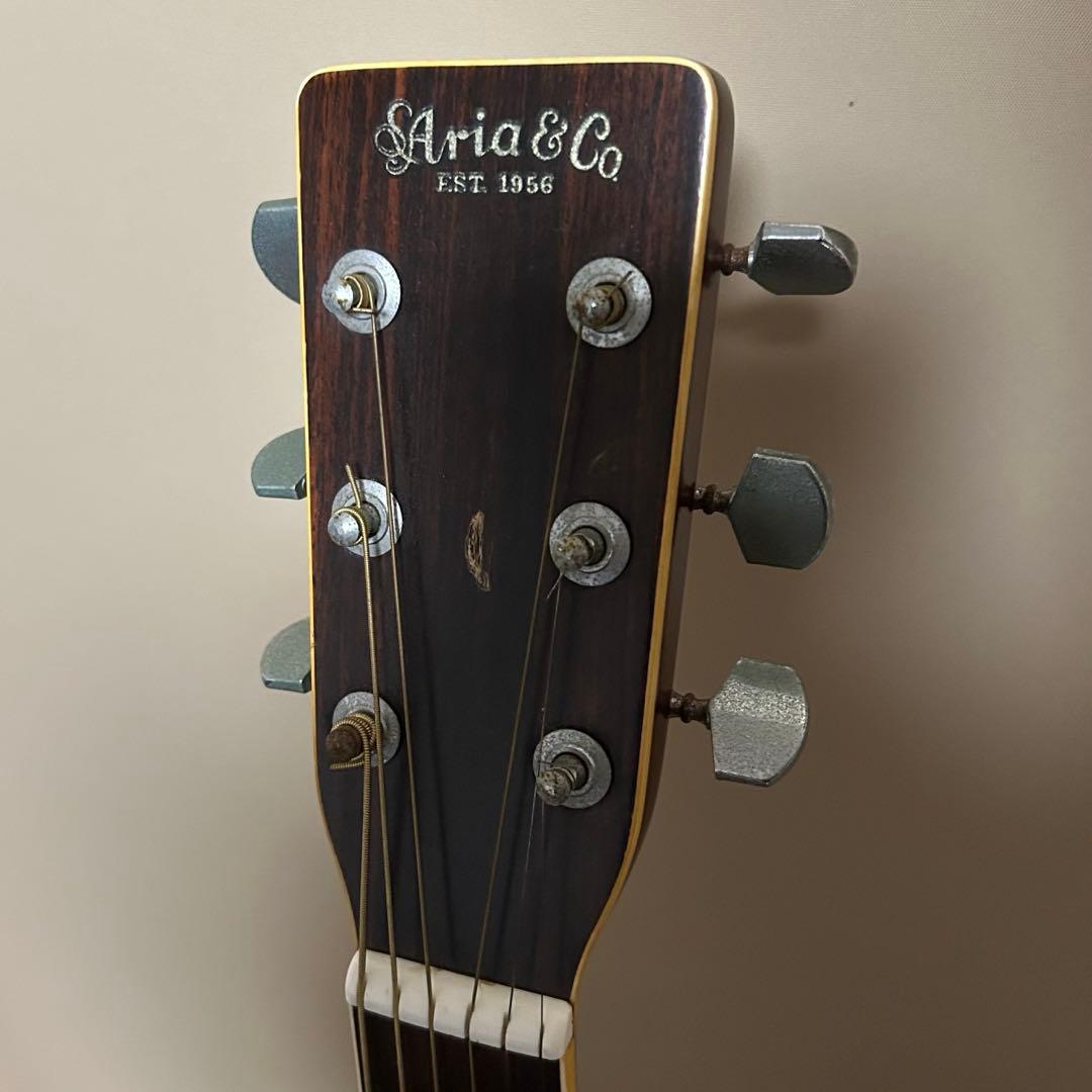 Aria W-200 アコースティックギター アコギ