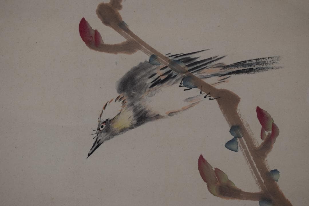 【真作】手島呉東/牡丹小禽図/小鳥/花鳥図/掛軸☆宝船☆Y-715　JM