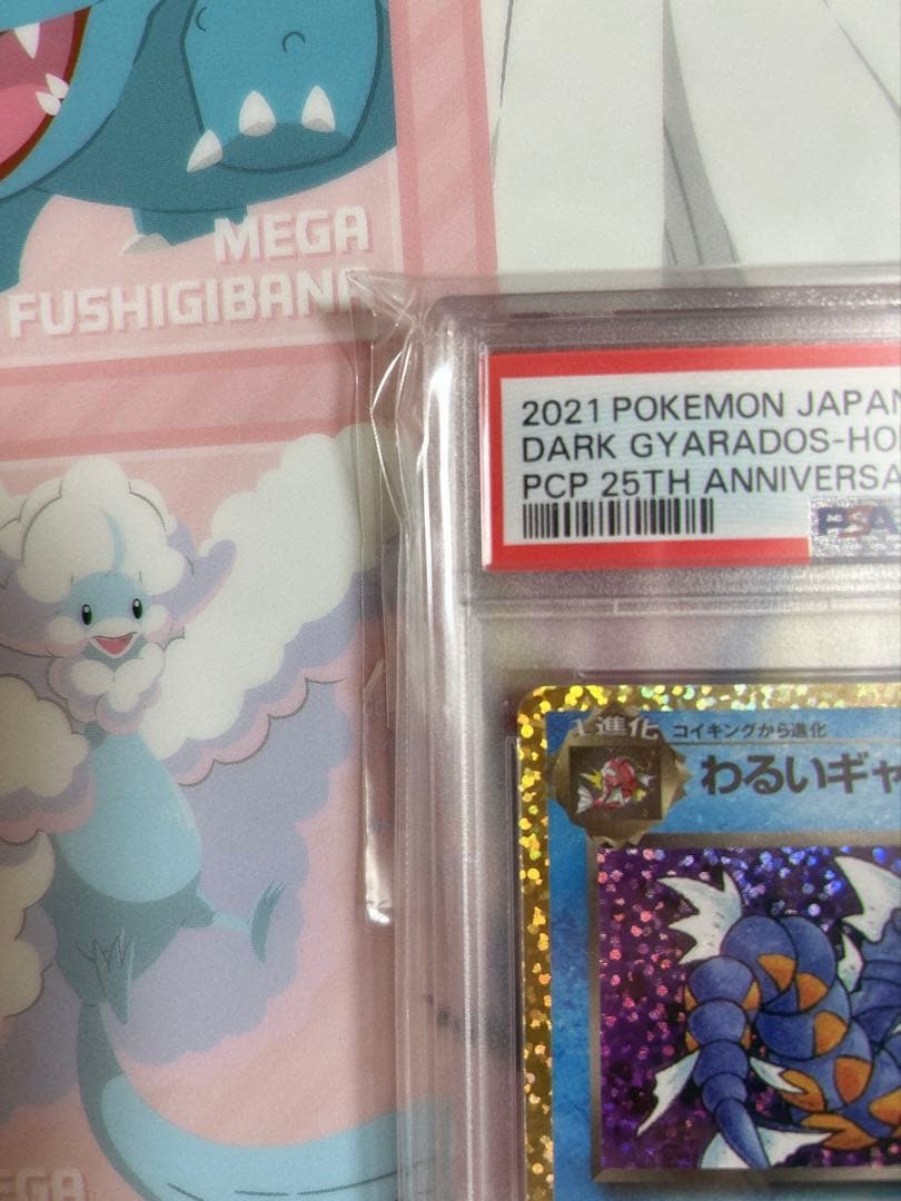 わるいギャラドス: プロモ[S8a-P 005/025]25th アニバーサリー