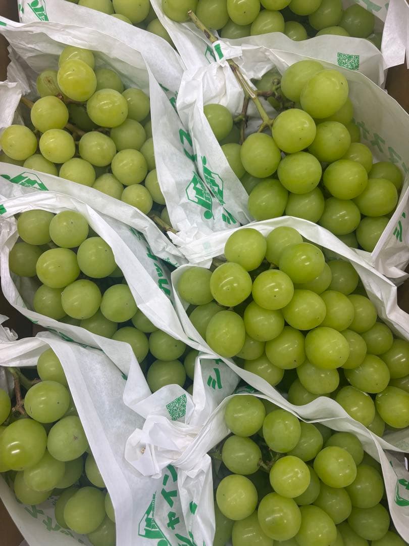 クール便山梨県産シャインマスカット５キロ8房〜10房