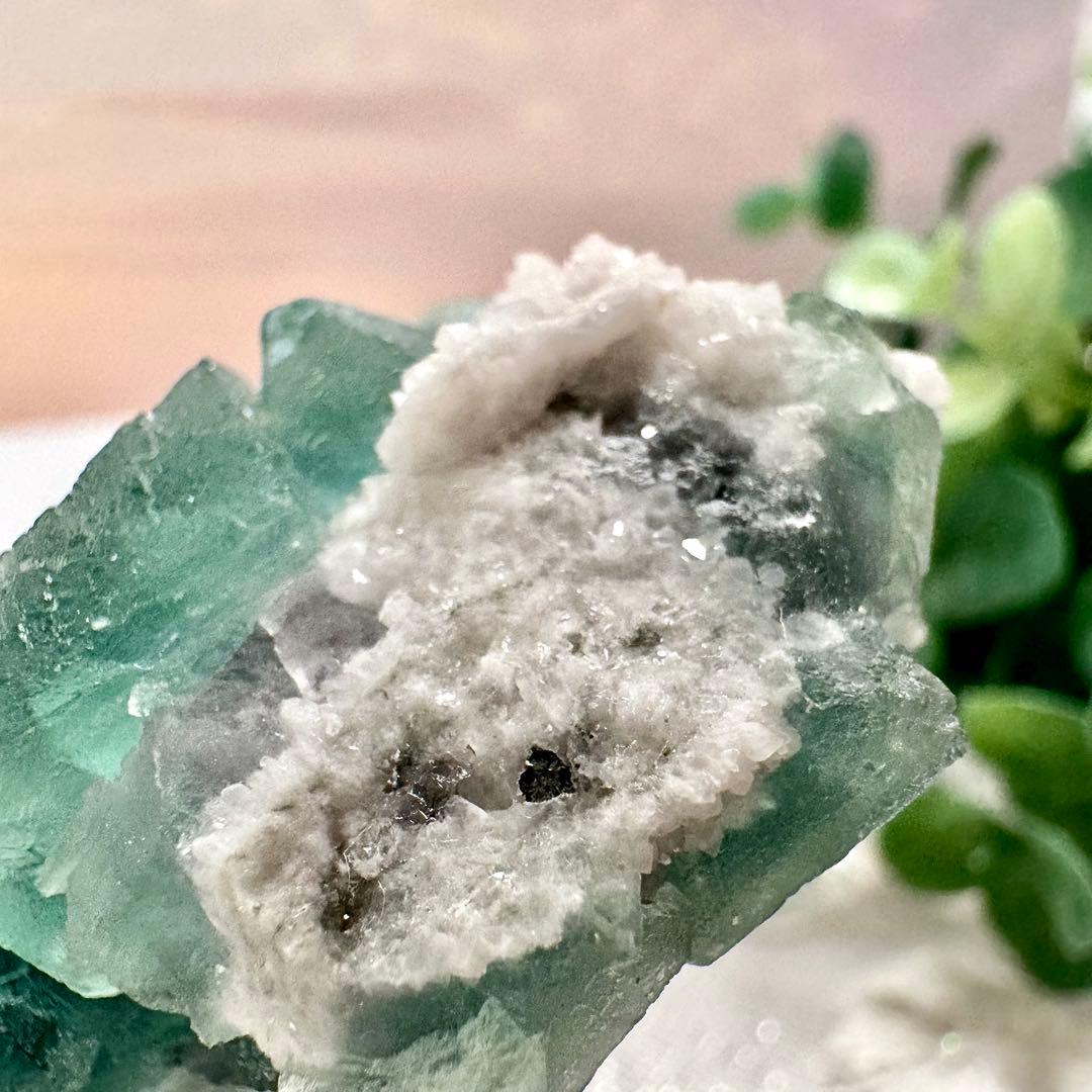 【D256】八面体 グリーンフローライト 内モンゴル 鉱物 標本