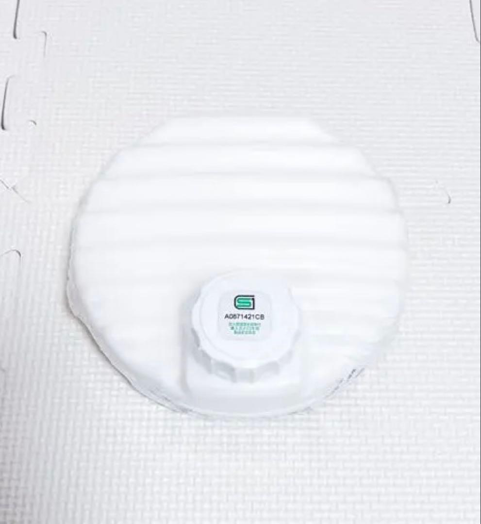 新品未使用 ディズニーストア ピーターパン ナナ 湯たんぽ ぬいぐるみ タグ付き