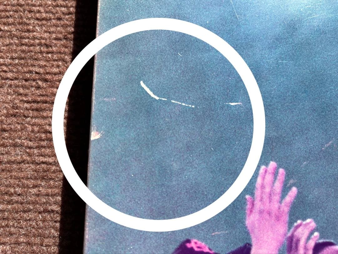 2000年ジャイアンツリーグ優勝・長嶋茂雄監督胴上げ　木製写真パネル