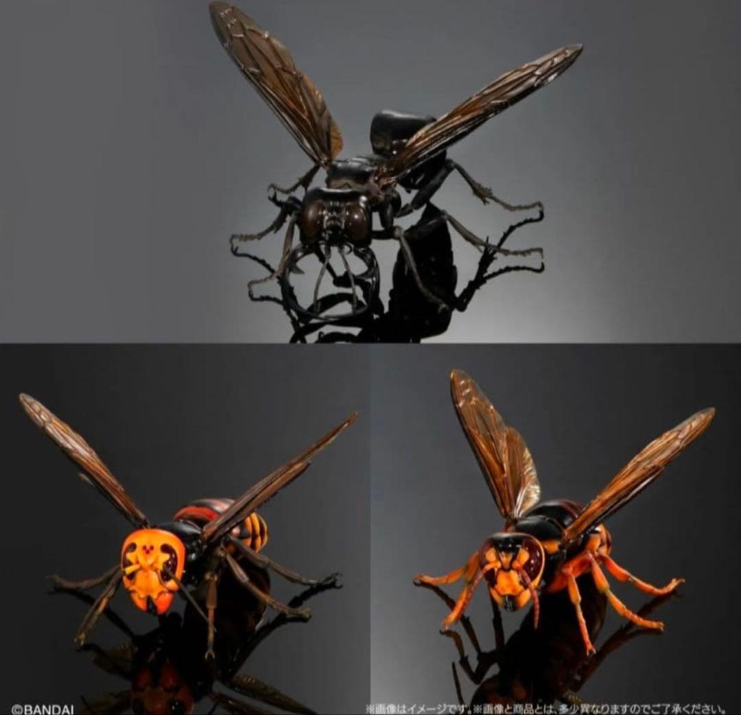 オンライン版 限定 いきもの大図鑑 アドバンス スズメバチ 02 全3種