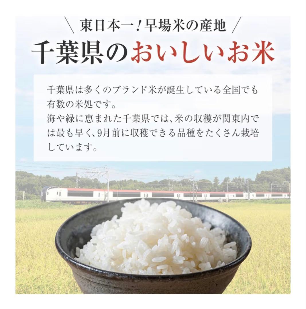 いのちの壱 精米 10kg