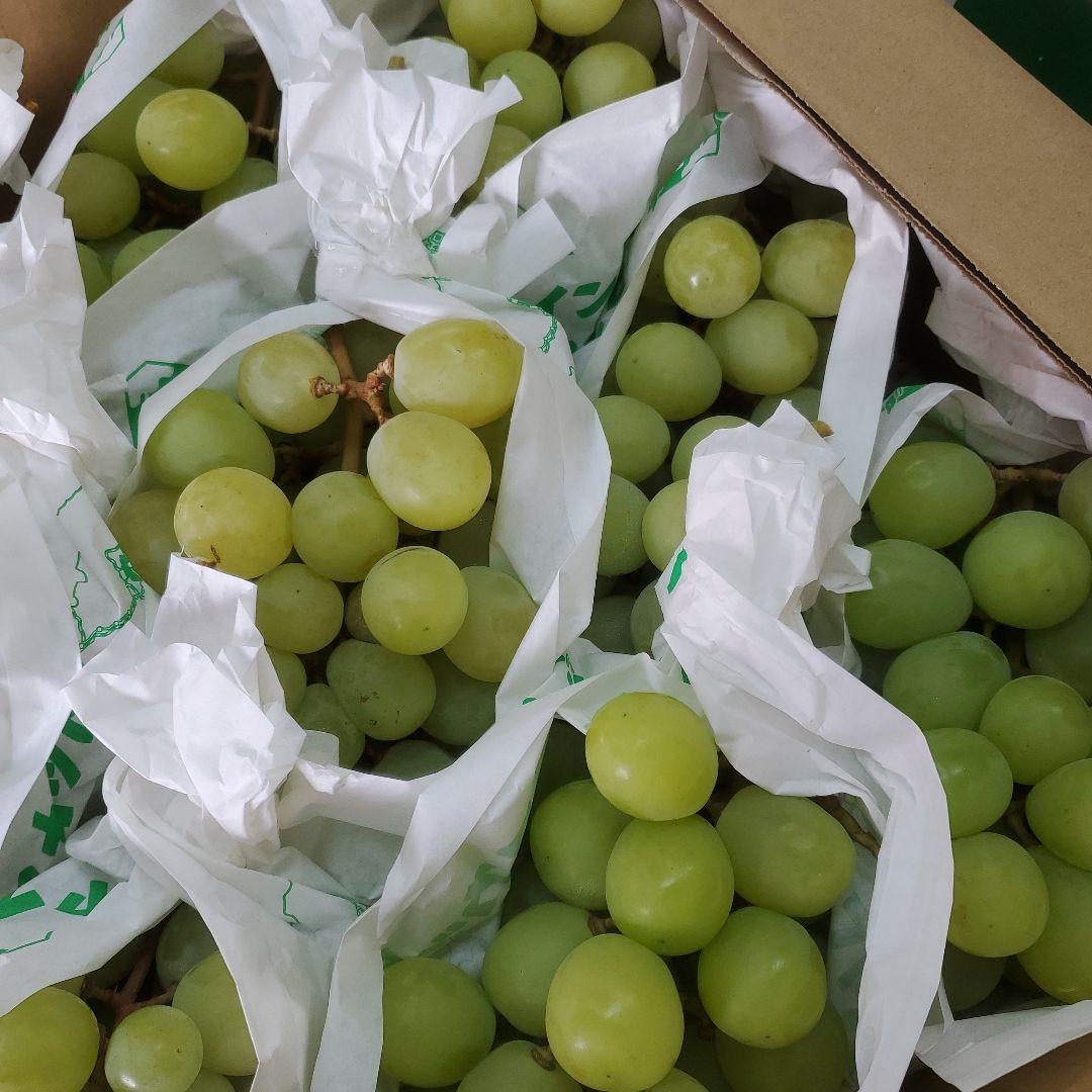 2️⃣山梨県産 シャインマスカット１２房入り 箱込み5.7キロ