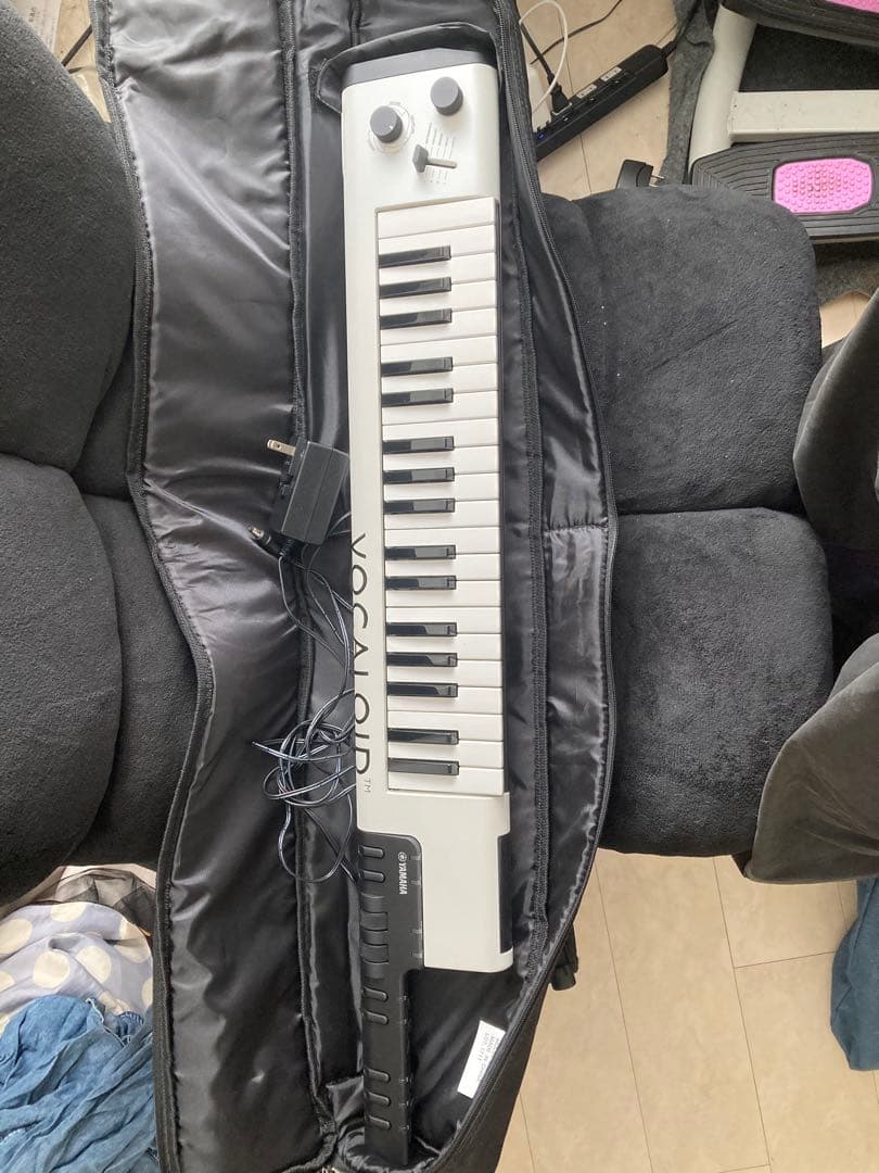 T*a様 ケース付き　美品　ボーカロイド Keyboard VKB-100 動作