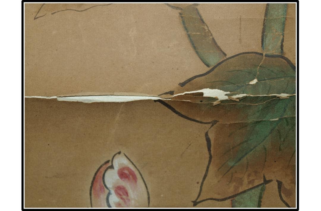 祖父の宝　時代の掛軸1　肉筆保証　　日本　中国<BR> X1056C15-1