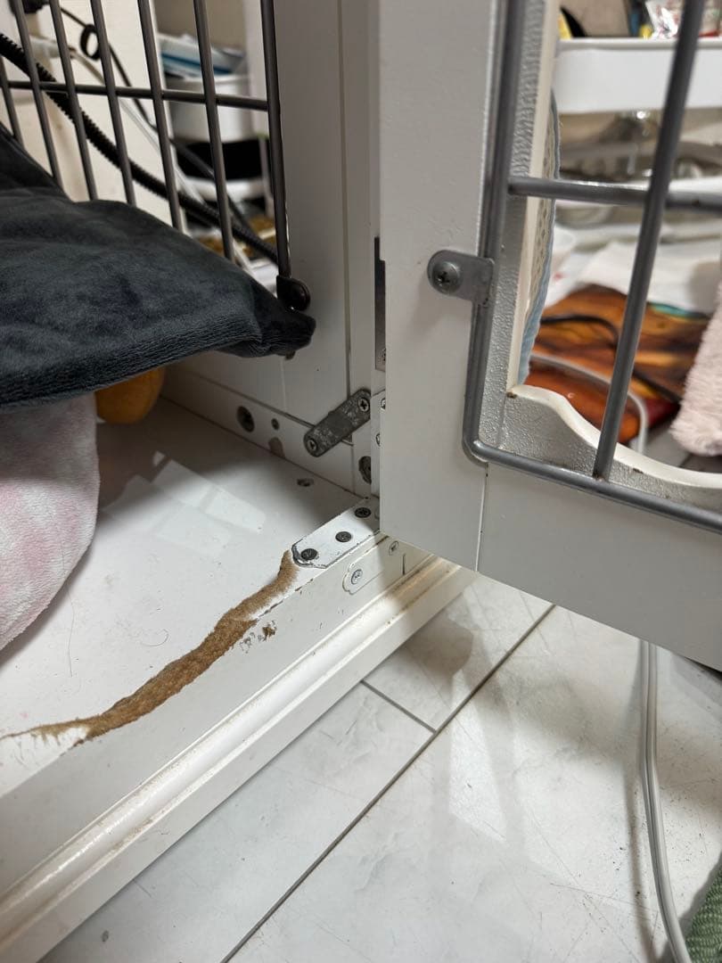 ドックハウス ホワイトハウス ケージ