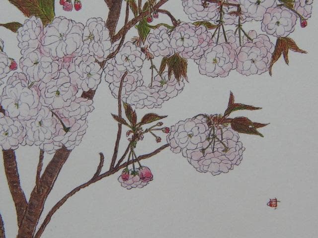 はらみちよ、【八重桜】、希少な額装用画集より、美品、新品額装付