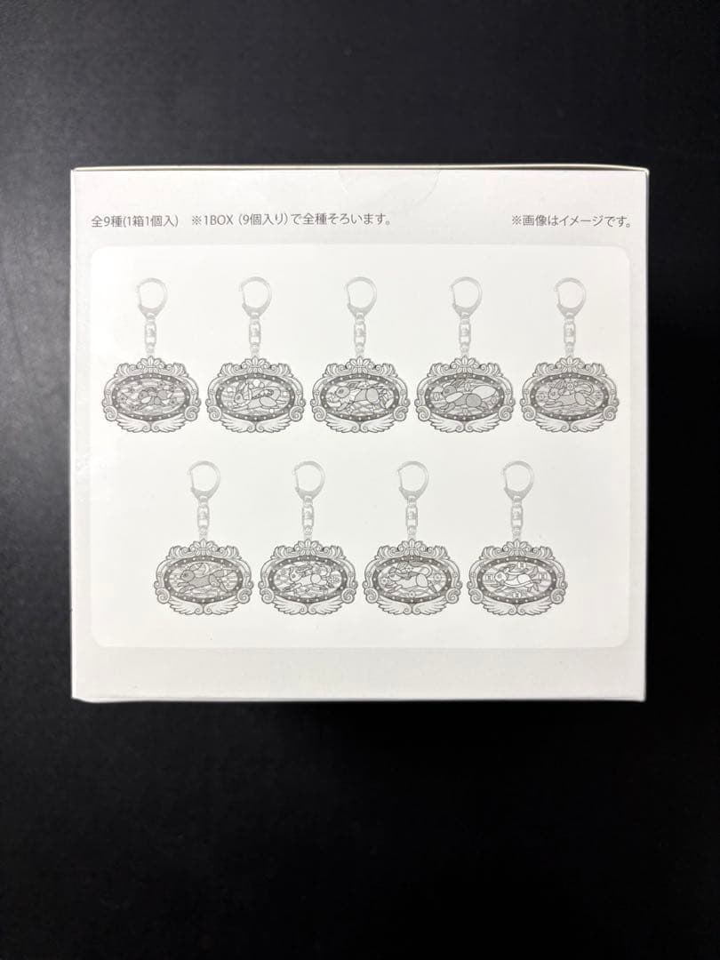 ポケパークカントー限定　イーブイズ　アクリルキーホルダー　フルコンプセット