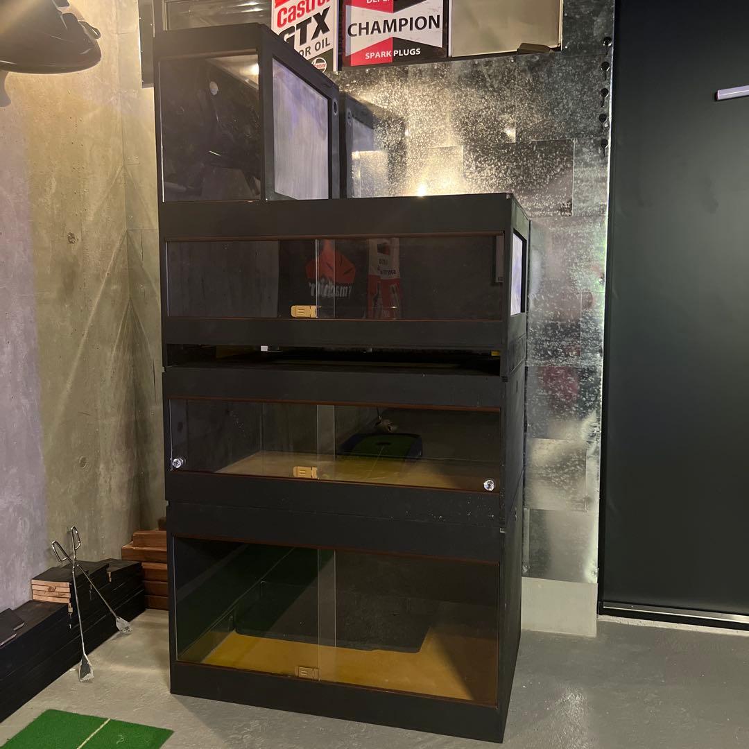 爬虫類　ケージ　木製　引き取り限定　愛知県