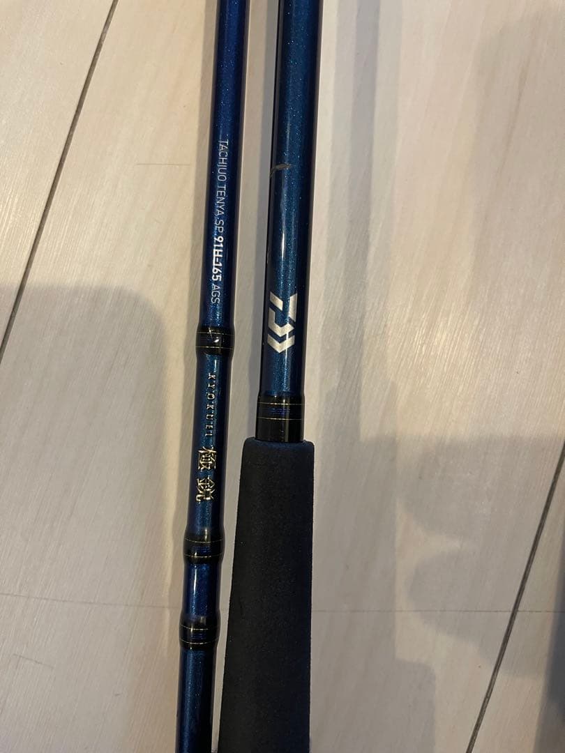 DAIWA 極鋭タチウオテンヤSP 91H-165 AGS 船竿