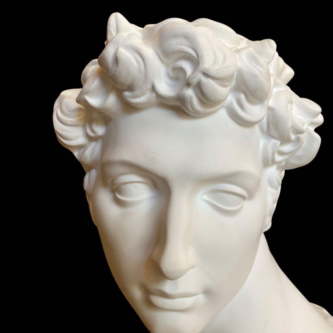 石膏像 メディチ 胸像 美術 スケッチ インテリア HORI SEKKO製