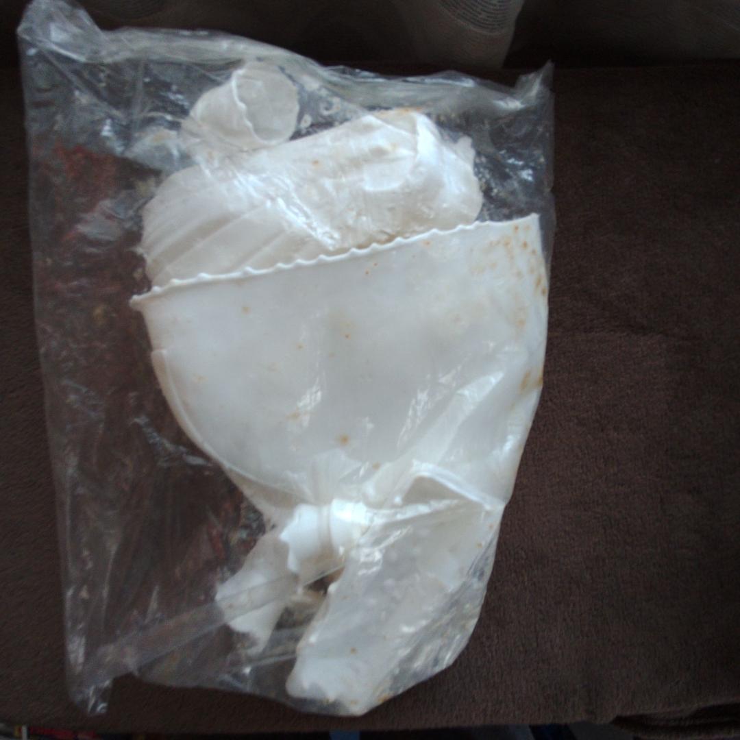 ナコルル 1/8 スケール ソフトビニールキット KAIYODO