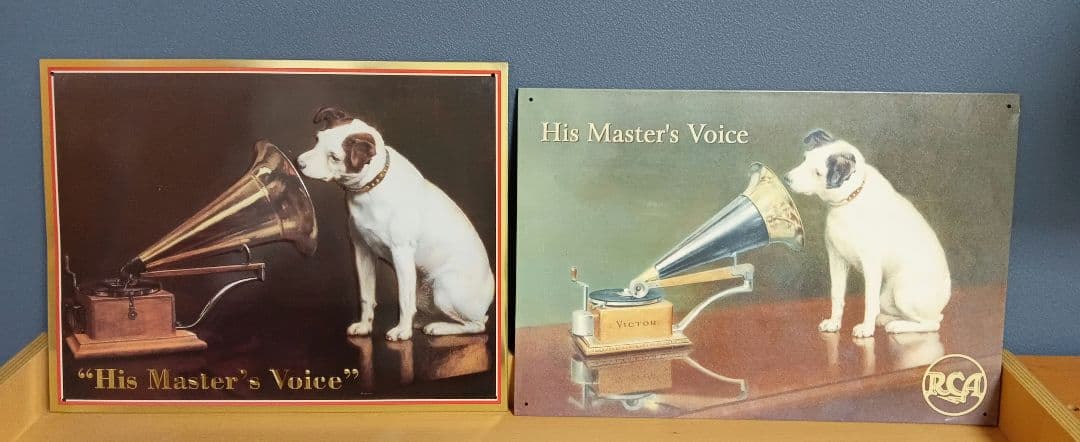 ビクター ニッパー犬 ニッパー　特大44cm～ 7匹 手渡し希望 千葉県習志野市